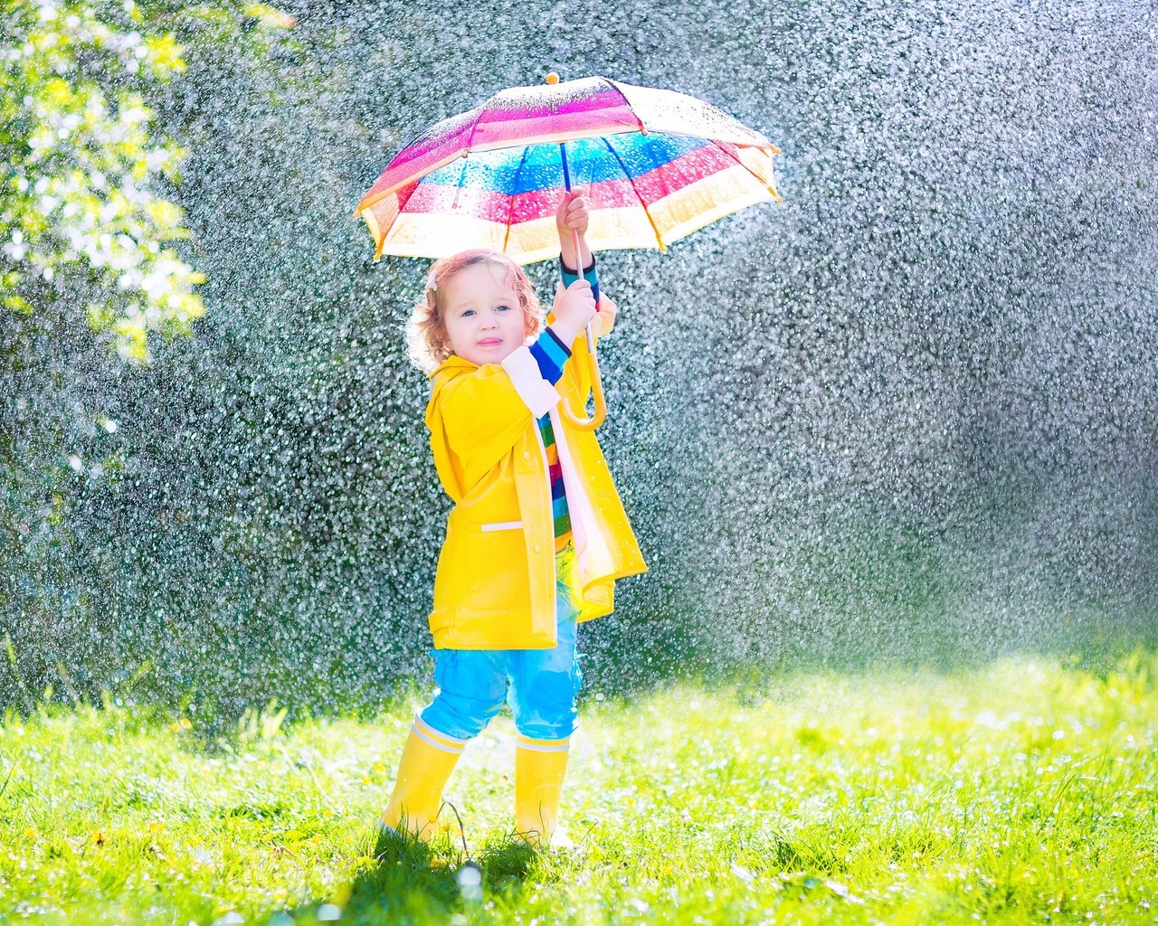Обои девочка, дождь, зонт, ребенок, girl, rain, umbrella, child разрешение 5000x3333 Загрузить