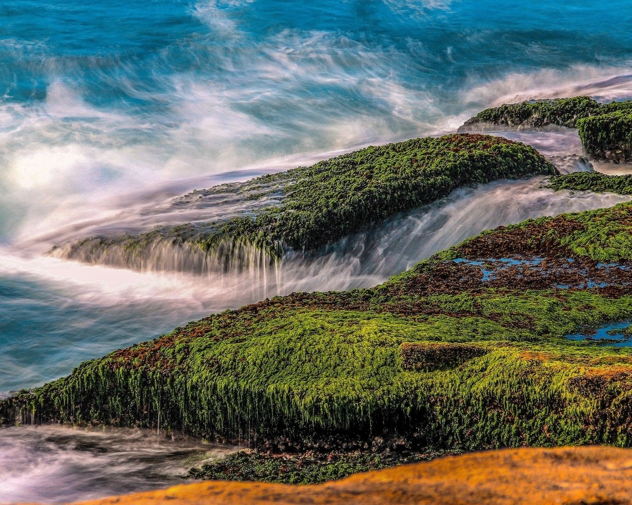 Обои природа, камни, море, водоросли, nature, stones, sea, algae разрешение 1920x1080 Загрузить