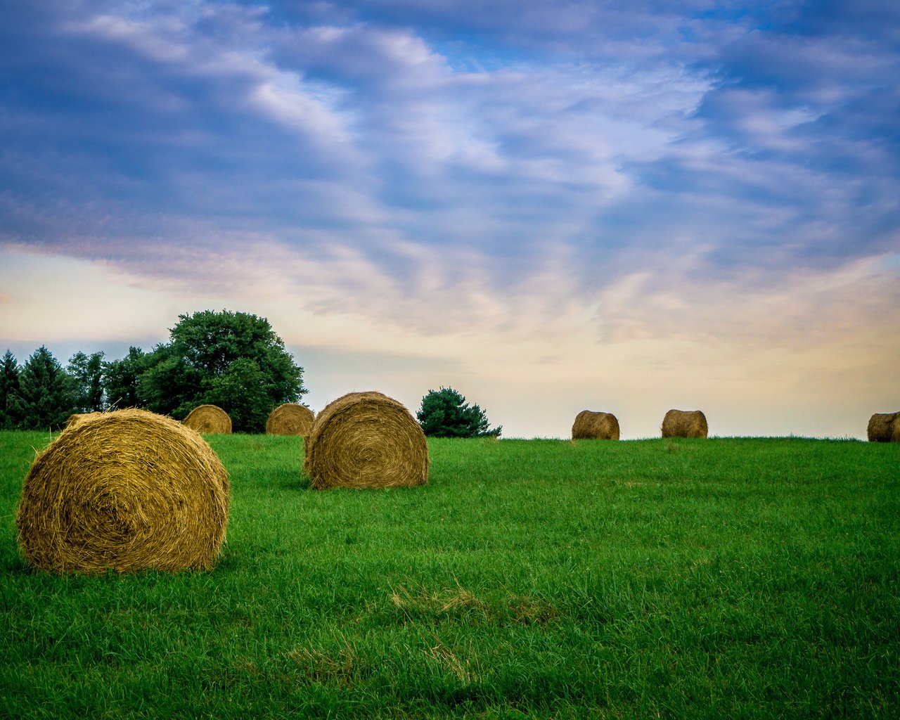 Обои небо, трава, облака, поле, сено, тюки, фермы, рулоны, the sky, grass, clouds, field, hay, bales, farm, rolls разрешение 2048x1365 Загрузить