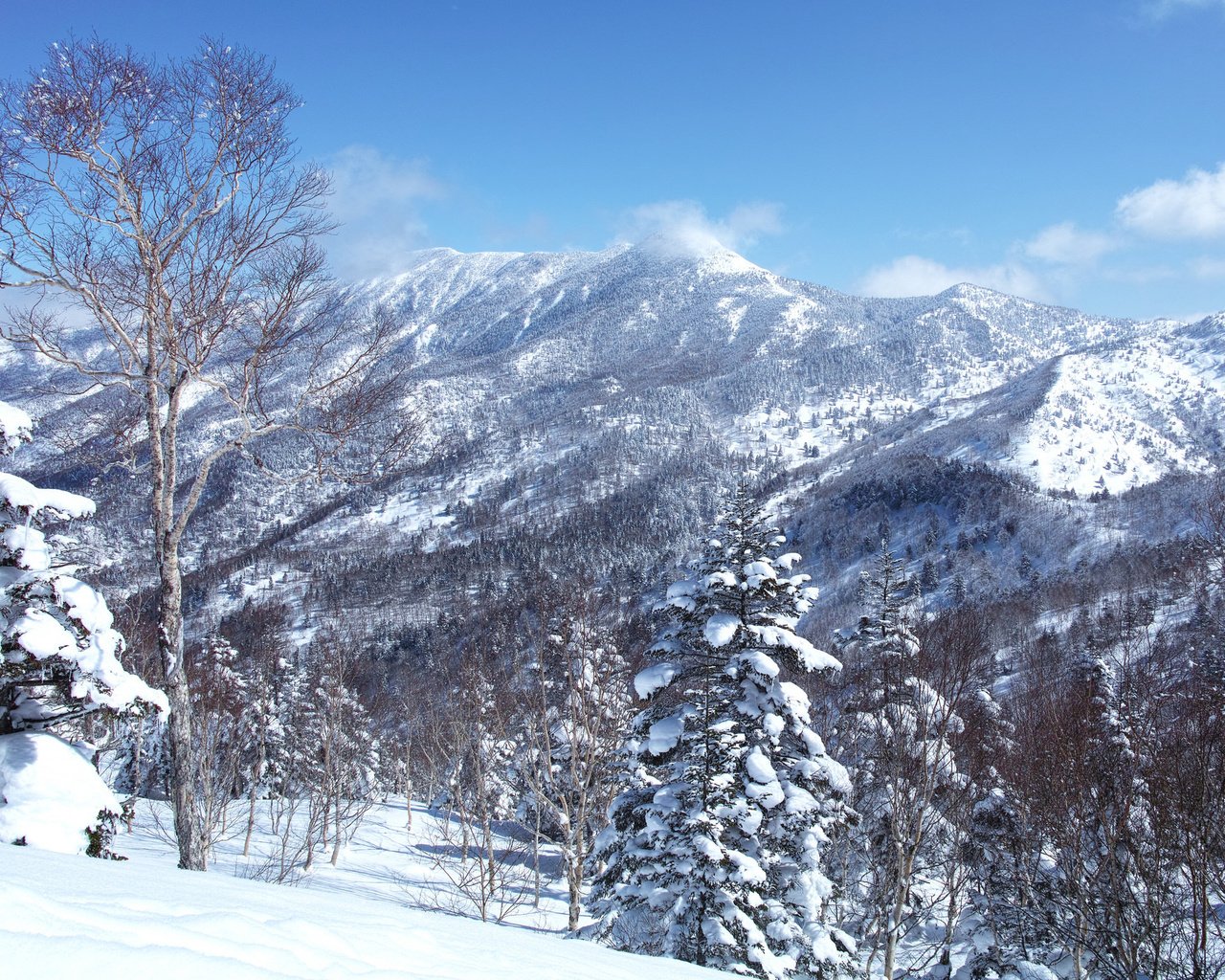 Обои небо, деревья, горы, снег, зима, пейзаж, склон, the sky, trees, mountains, snow, winter, landscape, slope разрешение 2048x1365 Загрузить