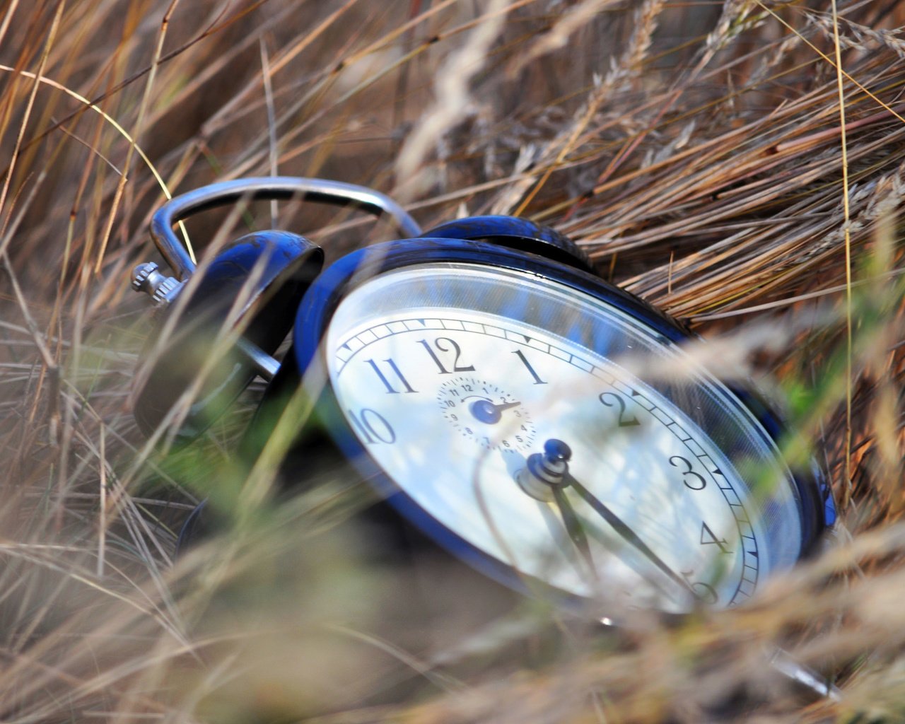 Обои трава, часы, время, grass, watch, time разрешение 2048x1360 Загрузить