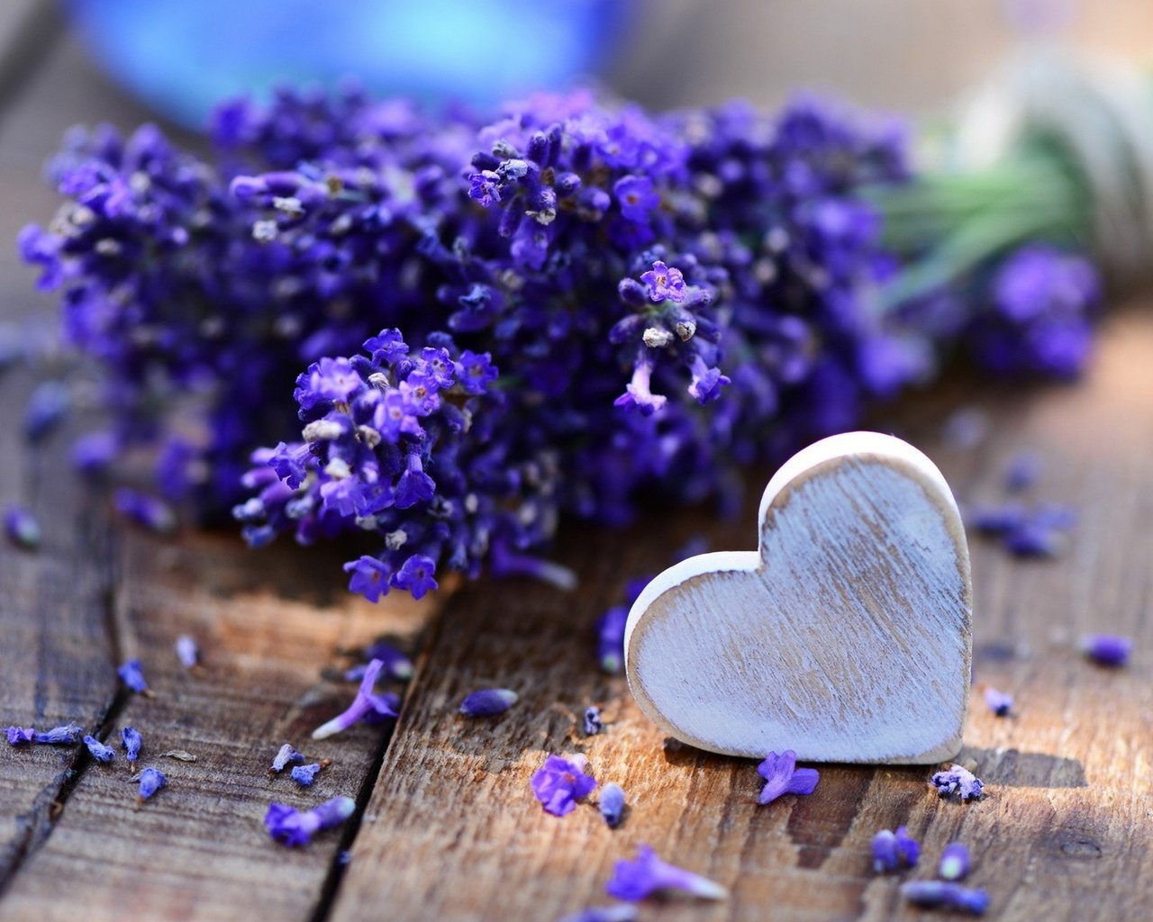 Обои цветы, лаванда, сердечко, сердце, букет, деревянная поверхность, flowers, lavender, heart, bouquet, wooden surface разрешение 2880x2560 Загрузить