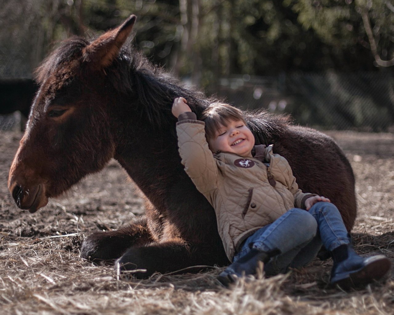 Обои фон, мальчик, пони, background, boy, pony разрешение 3479x2051 Загрузить