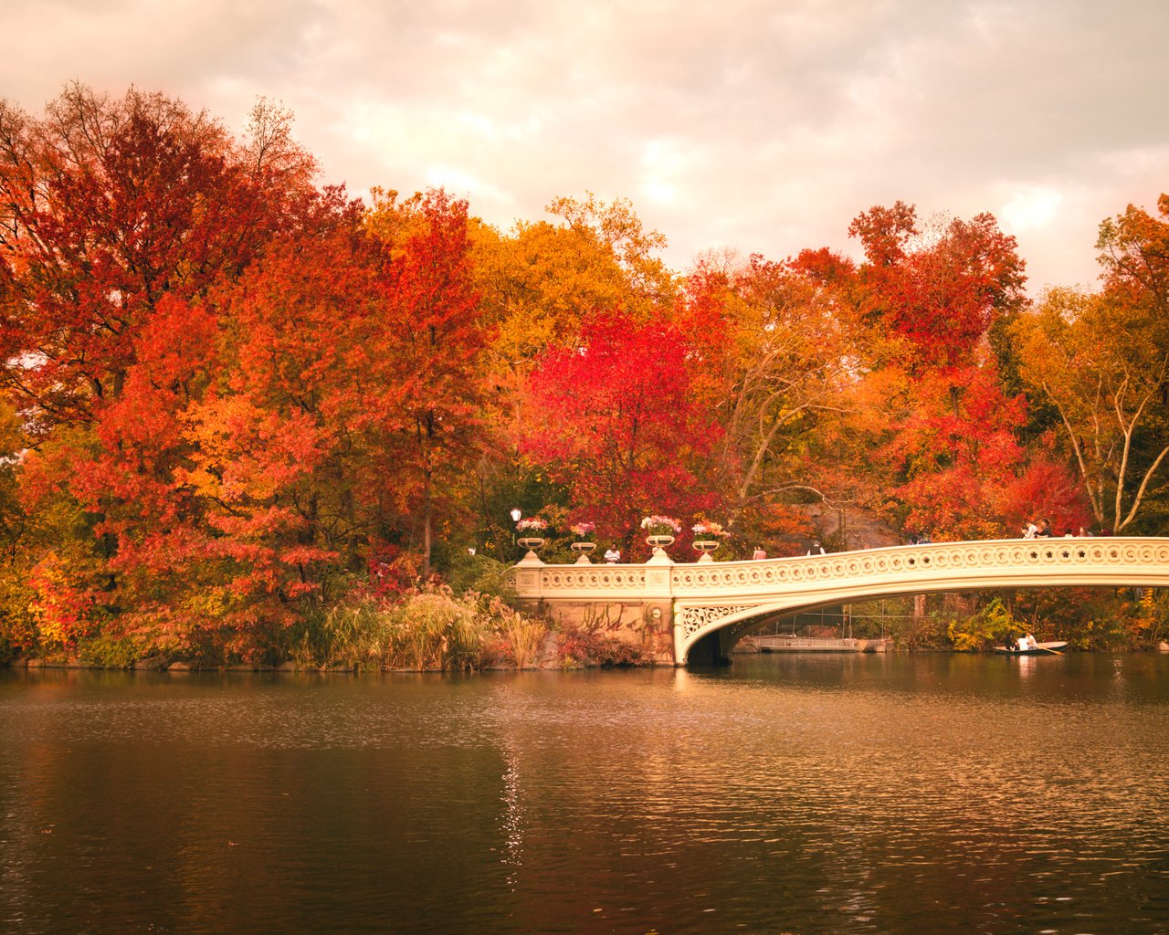 Обои деревья, центральный парк, листья, bow bridge, люди, осень, лодка, зеркало, нью-йорк, соединённые штаты, trees, central park, leaves, people, autumn, boat, mirror, new york, united states разрешение 2248x1499 Загрузить