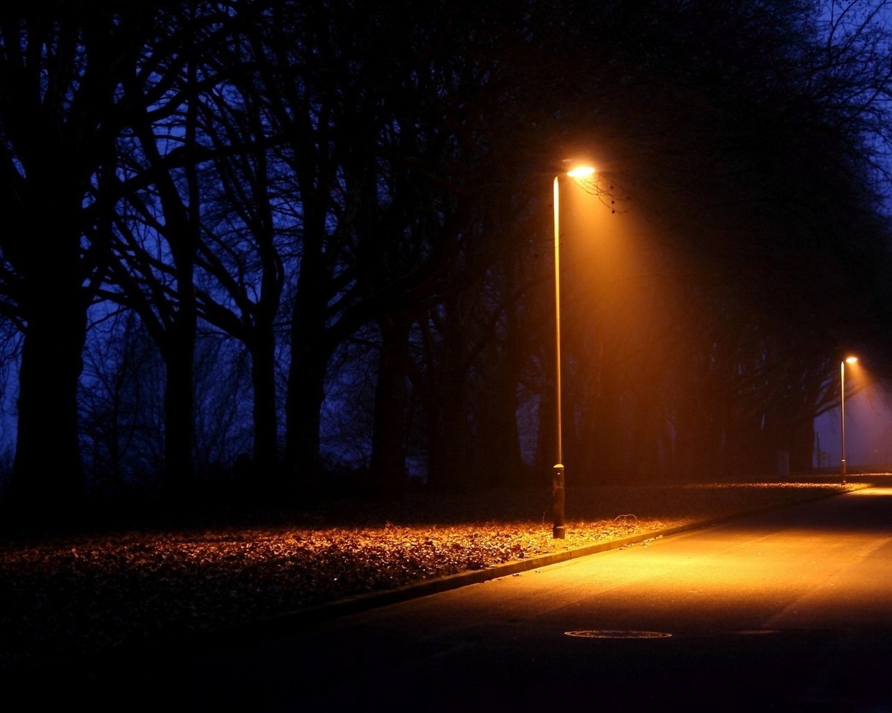 Обои свет, дорога, ночь, деревья, фонари, парк, город, light, road, night, trees, lights, park, the city разрешение 3500x2129 Загрузить