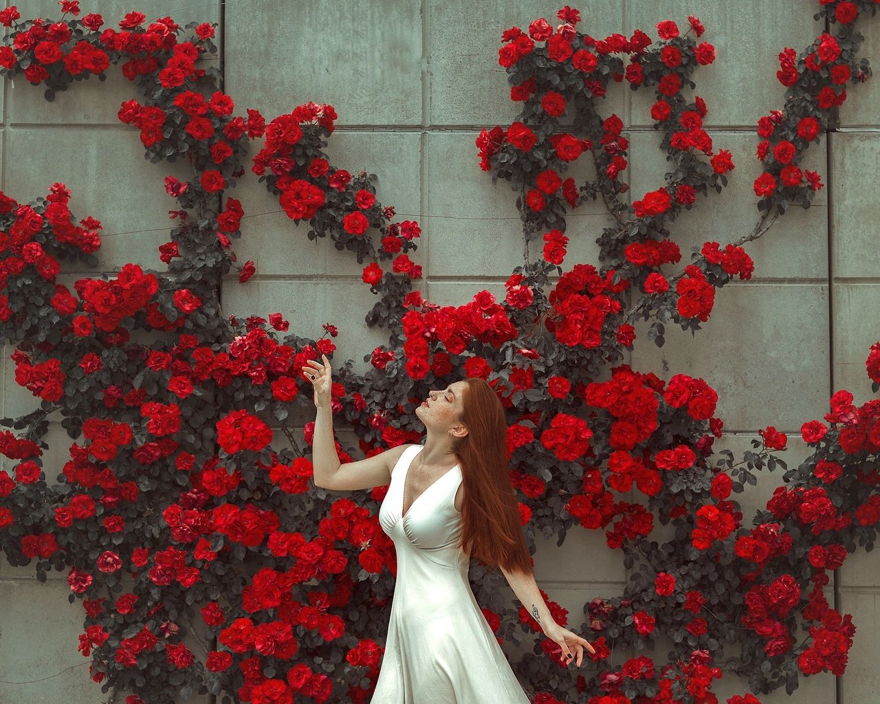 Обои цветы, девушка, платье, поза, стена, лицо, flowers, girl, dress, pose, wall, face разрешение 2048x1365 Загрузить