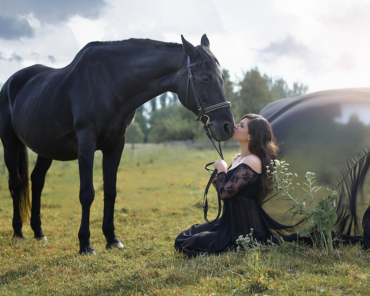 Обои природа, девушка, лето, конь, nature, girl, summer, horse разрешение 2048x1271 Загрузить