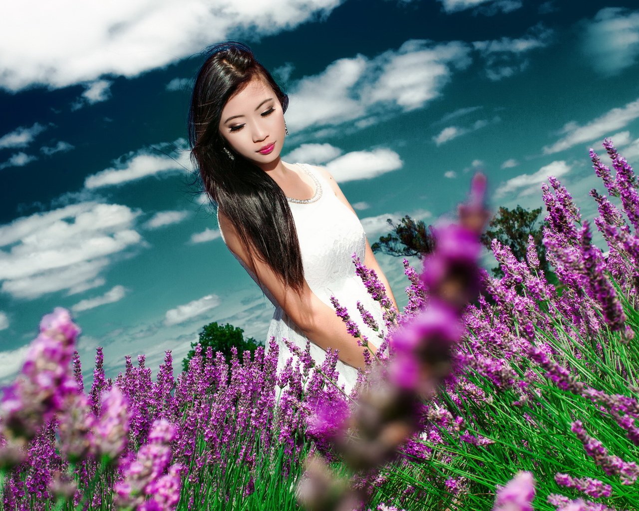 Обои цветы, девушка, лето, волосы, азиатка, flowers, girl, summer, hair, asian разрешение 2560x1440 Загрузить