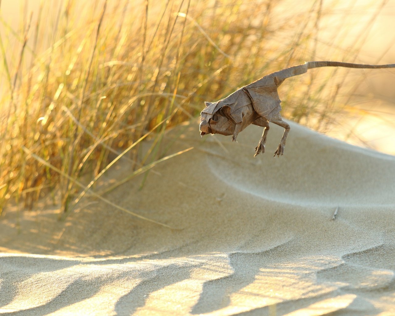 Обои бумага, оригами, животное, jerbo pigmeo de baluchistan, тушканчик, paper, origami, animal, jerboa разрешение 2560x1707 Загрузить