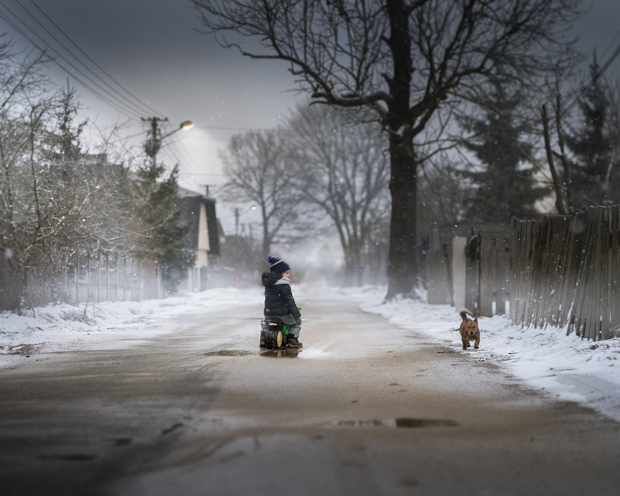 Обои дорога, снег, зима, собака, дети, мальчик, road, snow, winter, dog, children, boy разрешение 2048x1365 Загрузить