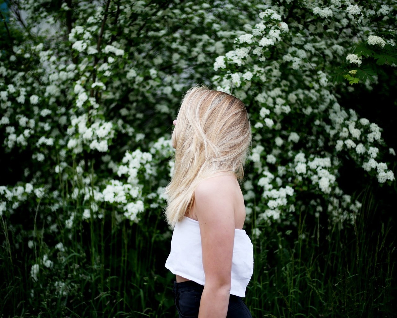 Обои цветы, девушка, блондинка, профиль, белые, flowers, girl, blonde, profile, white разрешение 2048x1366 Загрузить