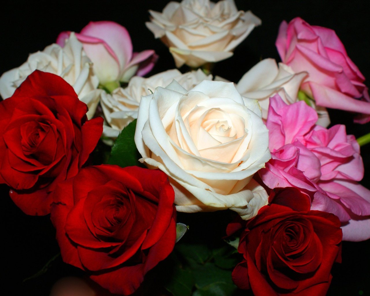 Обои цветы, розы, черный фон, букет, флора, flowers, roses, black background, bouquet, flora разрешение 2794x1871 Загрузить