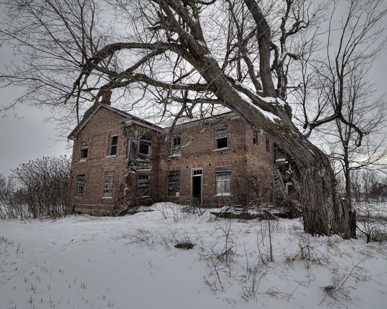 Обои снег, дерево, зима, поле, дом, snow, tree, winter, field, house разрешение 1920x1213 Загрузить