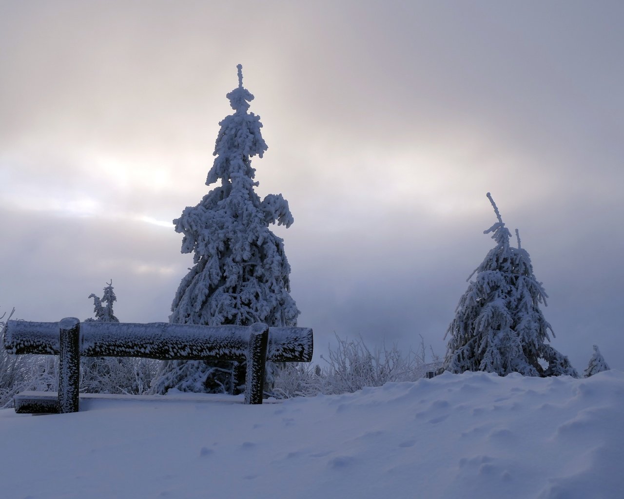 Обои снег, дерево, зима, утро, скамья, snow, tree, winter, morning, bench разрешение 3888x2592 Загрузить