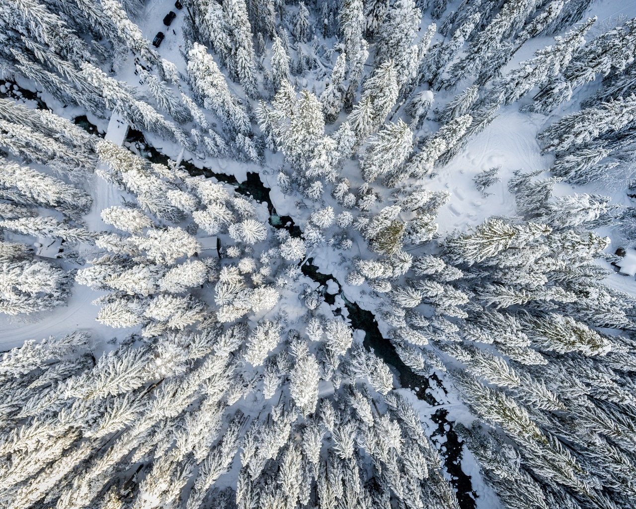 Обои снег, лес, зима, вид сверху, ели, snow, forest, winter, the view from the top, ate разрешение 2048x1535 Загрузить