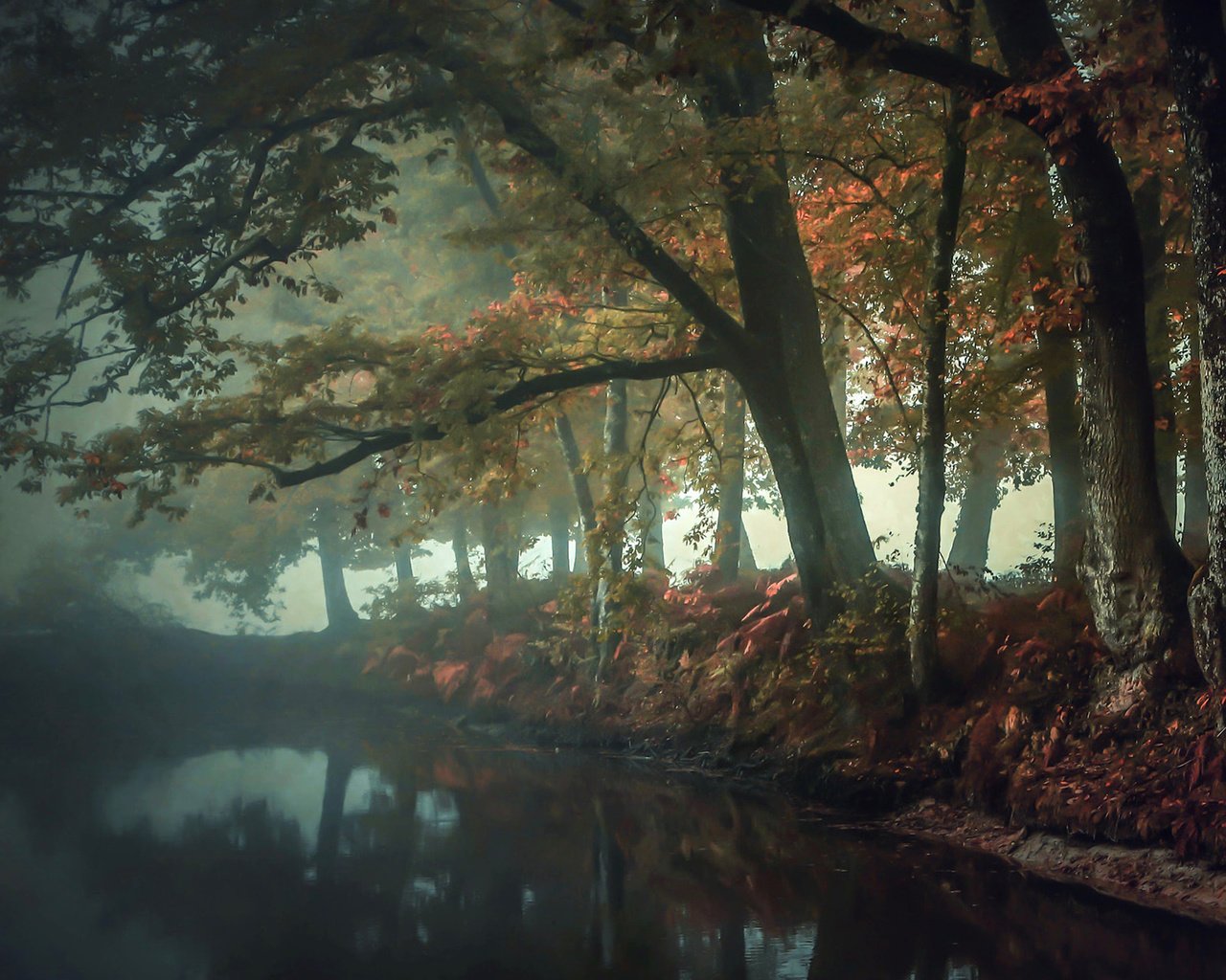 Обои река, природа, лес, отражение, туман, осень, patrice thomas, river, nature, forest, reflection, fog, autumn разрешение 1920x1200 Загрузить