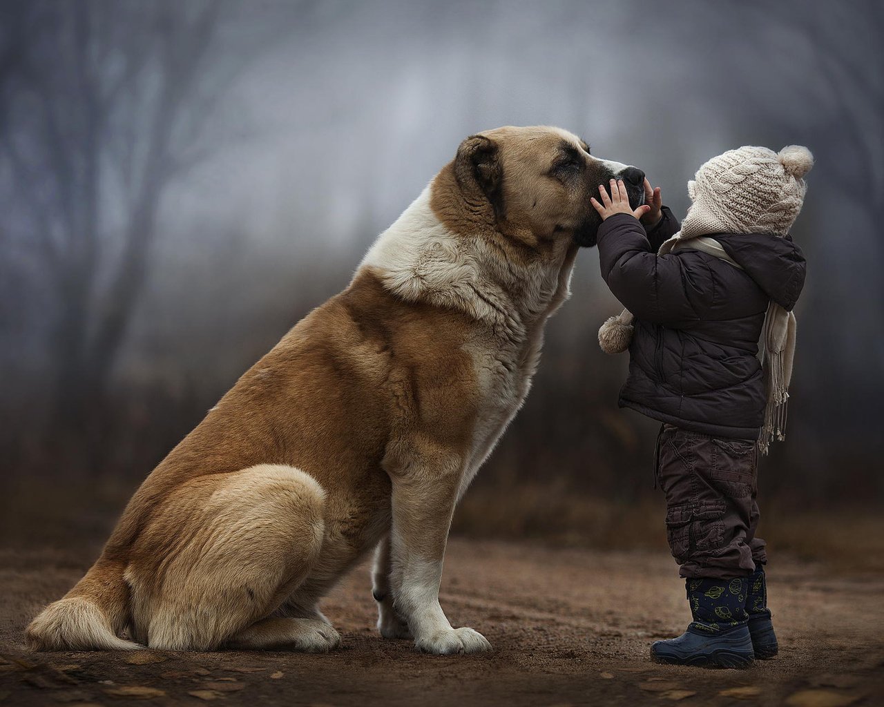 Обои лес, собака, дети, ребенок, дружба, forest, dog, children, child, friendship разрешение 1920x1200 Загрузить