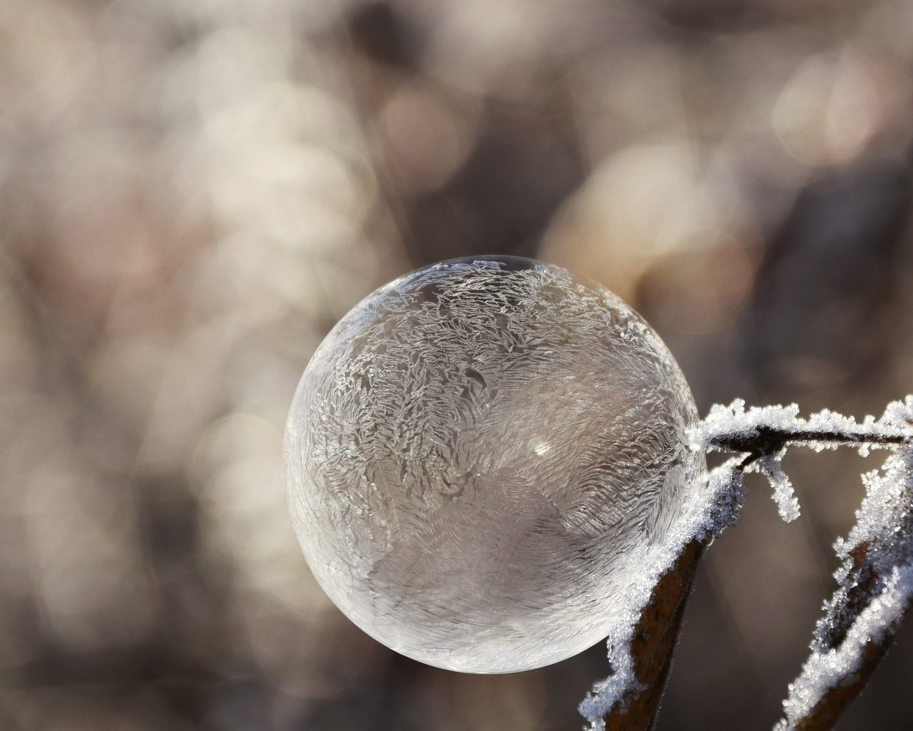 Обои зима, настроение, мороз, иней, пузырь, мыльный пузырь, winter, mood, frost, bubble разрешение 1920x1312 Загрузить