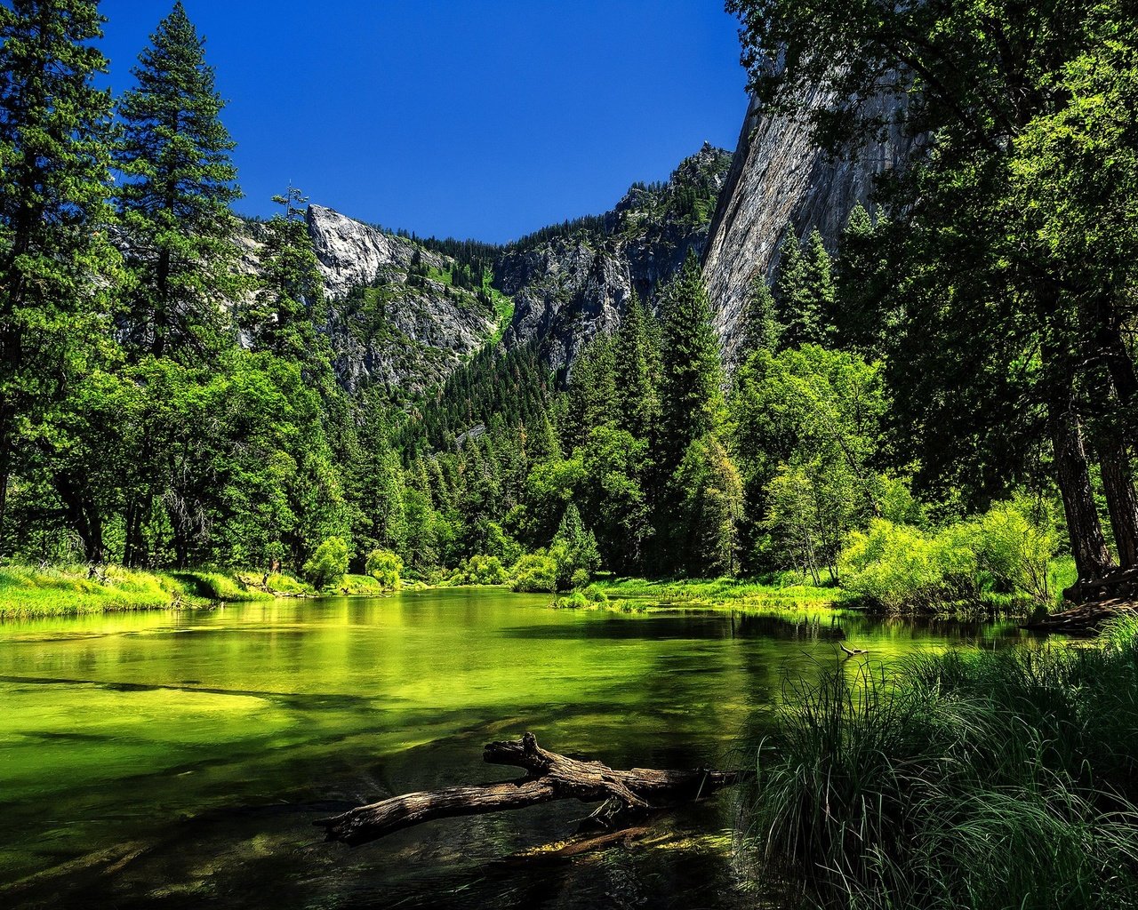 Обои деревья, ка­ли­фор­нийс­кая, река, река мерсед, горы, merced river, йосемитский национальный парк., сша, калифорния, йосемити, йосемитский национальный парк, сьерра-невада, trees, california, river, the merced river, mountains, usa, ca, yosemite, yosemite national park, sierra nevada разрешение 2048x1365 Загрузить