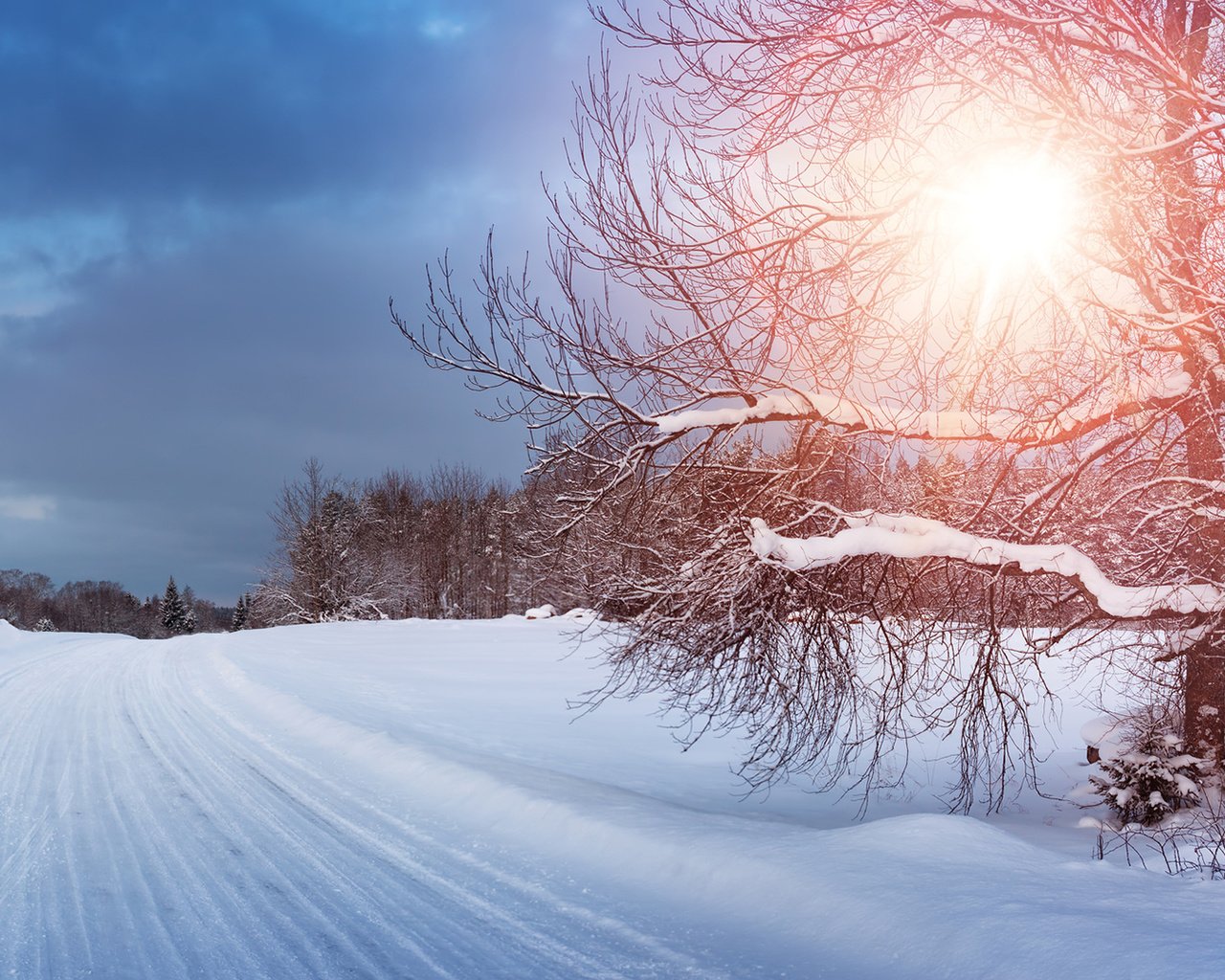 Обои дорога, деревья, снег, природа, лес, зима, анна, anna grigorjeva, road, trees, snow, nature, forest, winter, anna разрешение 1920x1080 Загрузить