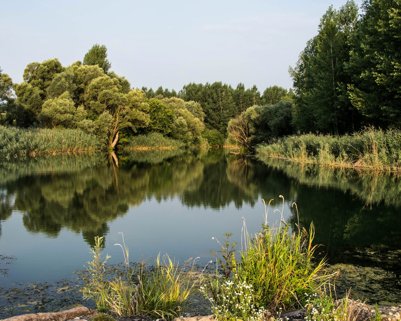 Обои деревья, река, природа, растения, лес, пейзаж, дунай, trees, river, nature, plants, forest, landscape, the danube разрешение 3840x2400 Загрузить