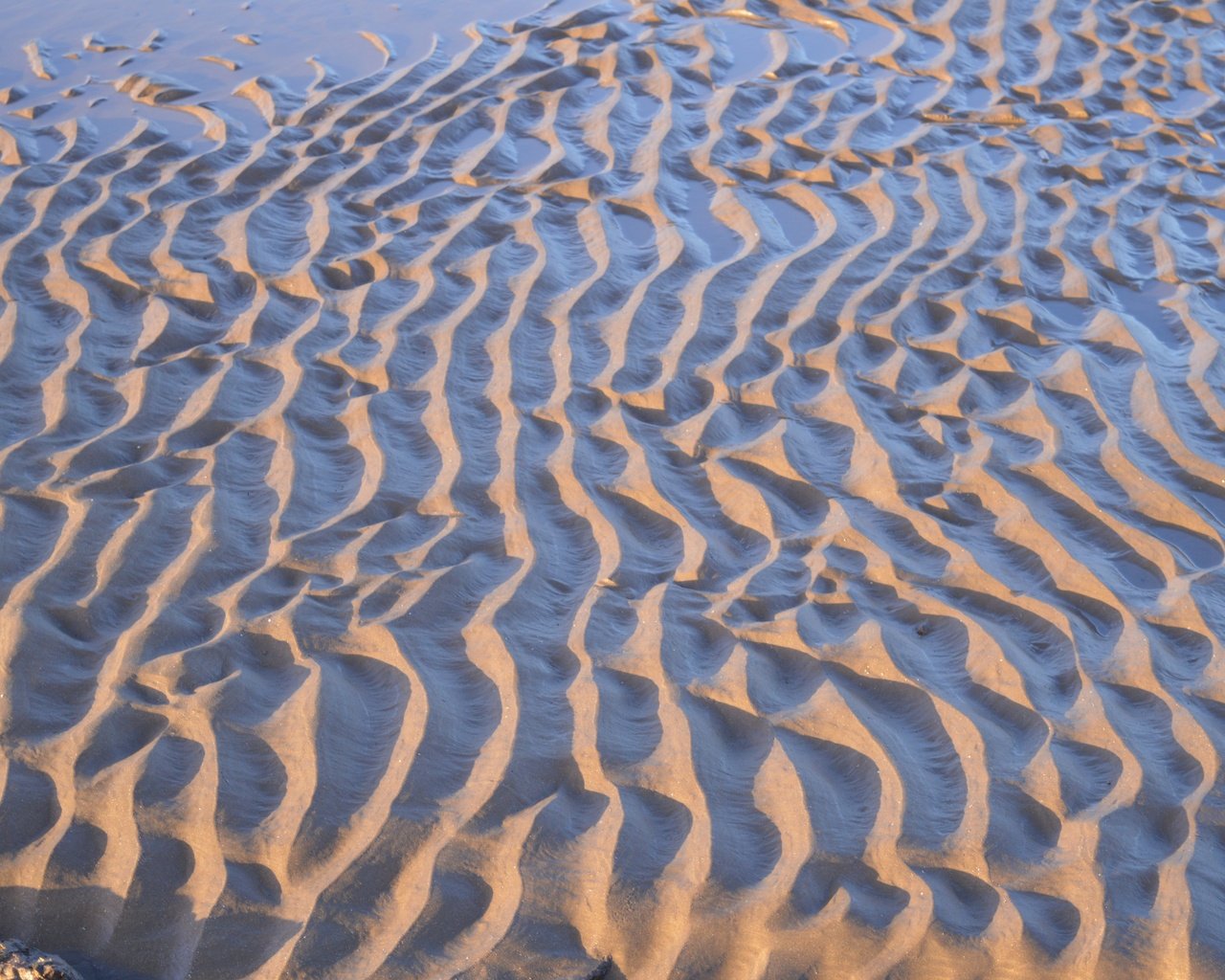 Обои текстура, песок, пляж, texture, sand, beach разрешение 6016x4000 Загрузить