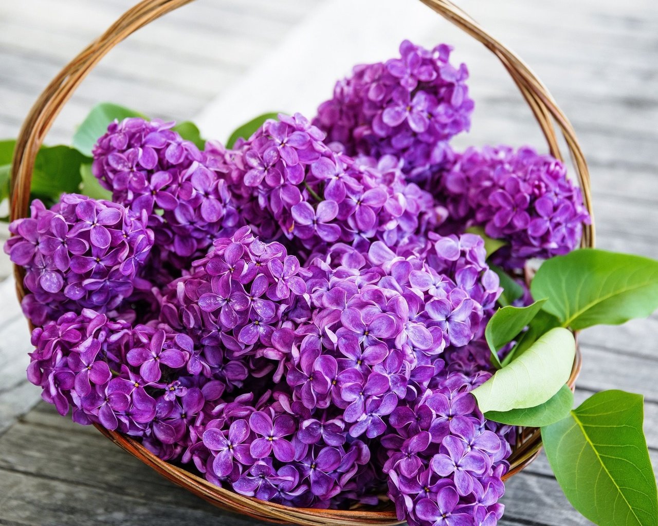 Обои цветы, весна, сирень, корзинка, flowers, spring, lilac, basket разрешение 2560x1600 Загрузить