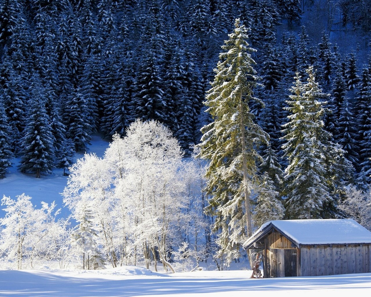 Обои деревья, снег, природа, лес, зима, домик, германия, бавария, trees, snow, nature, forest, winter, house, germany, bayern разрешение 2048x1369 Загрузить