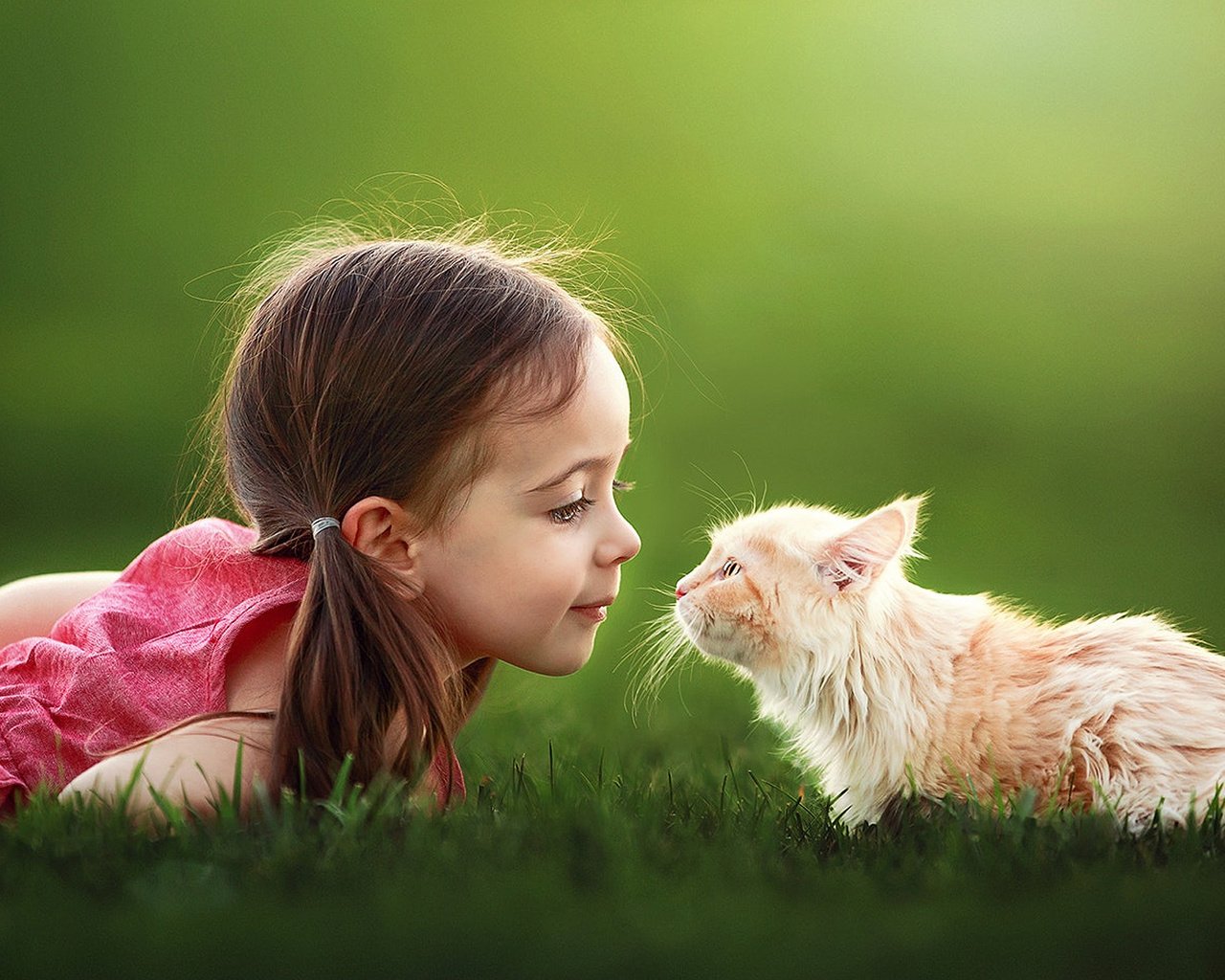 Обои трава, настроение, кот, кошка, девочка, ребенок, suzy mead, grass, mood, cat, girl, child разрешение 1920x1200 Загрузить