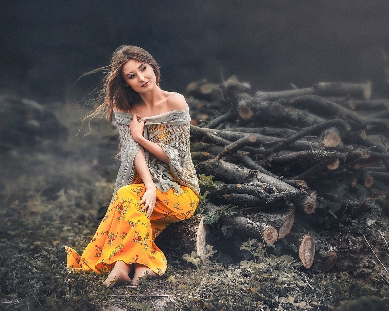 Обои девушка, фон, поза, взгляд, волосы, дрова, вадим мельник, girl, background, pose, look, hair, wood, vadim miller разрешение 1920x1200 Загрузить