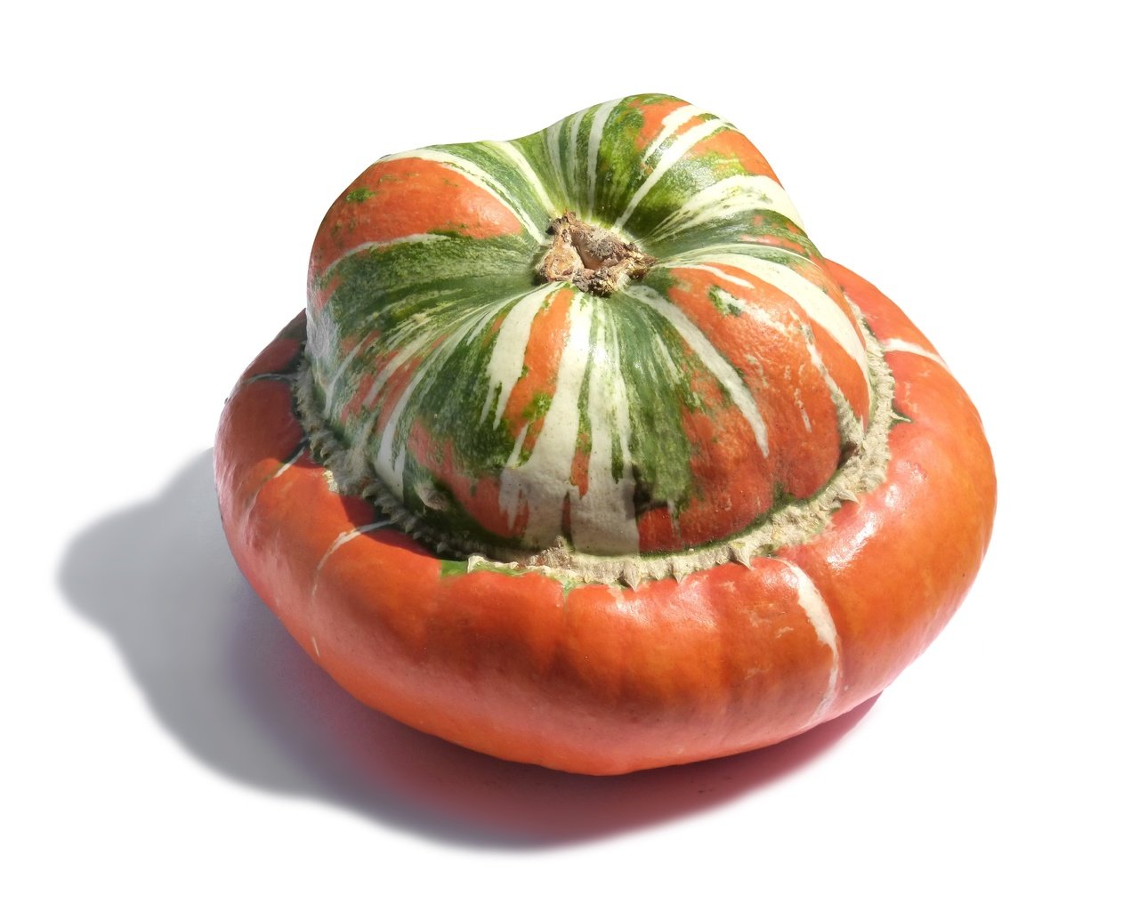 Обои тыква, pumpkin разрешение 4608x3456 Загрузить