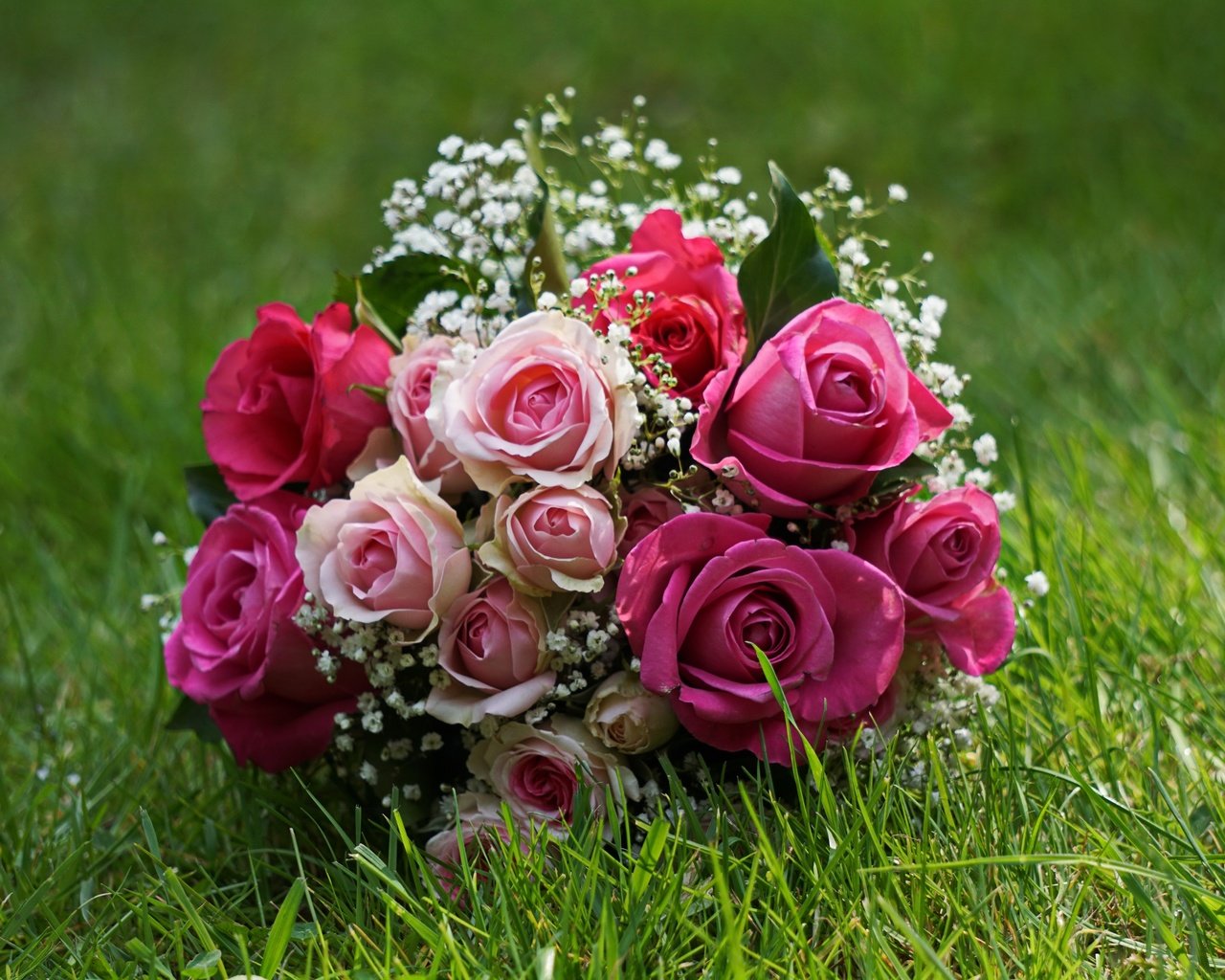 Обои цветы, трава, розы, букет, свадебный букет, гипсофила, flowers, grass, roses, bouquet, wedding bouquet, gypsophila разрешение 3320x2200 Загрузить