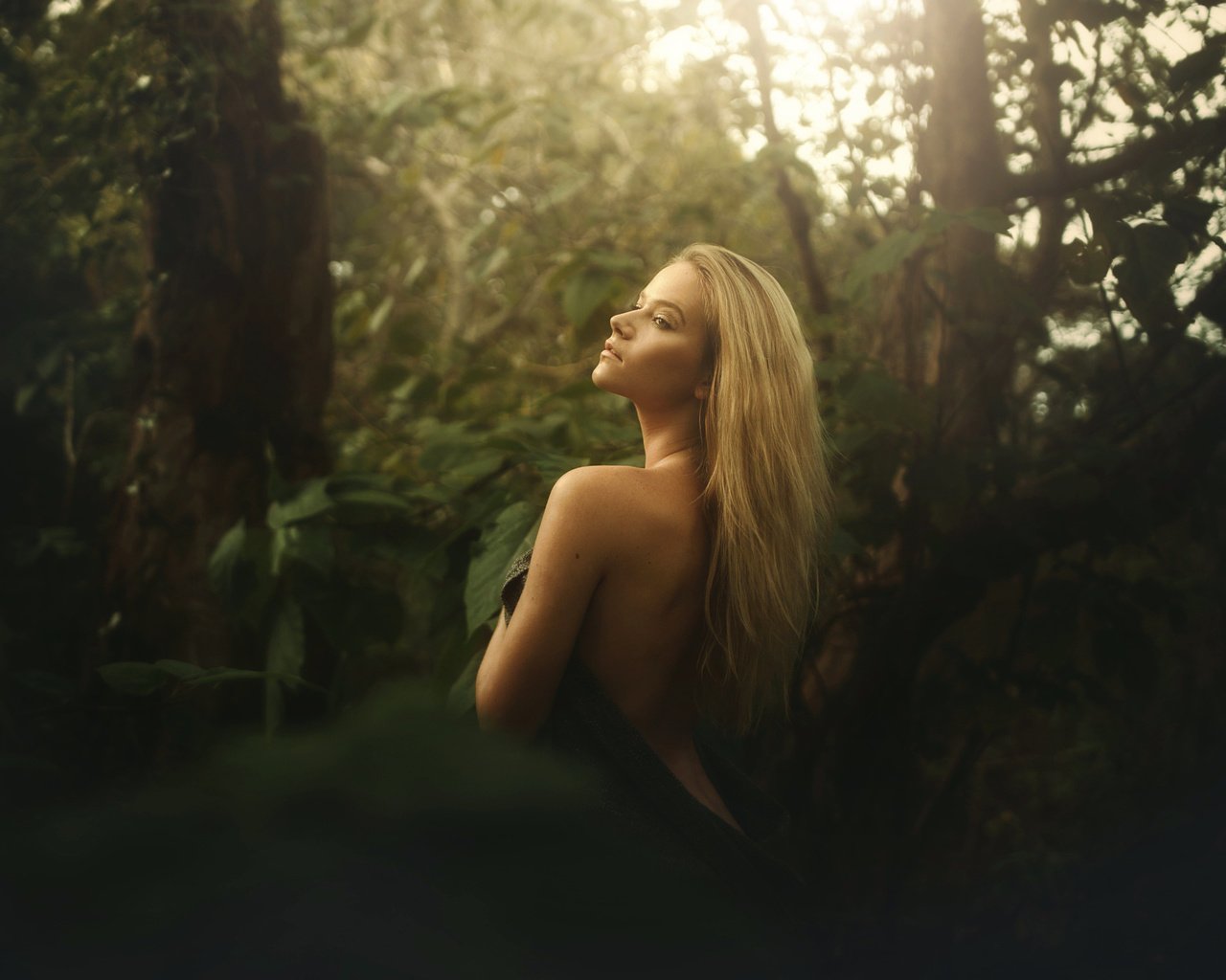 Обои лес, блондинка, взгляд, спина, tj drysdale, forest, blonde, look, back разрешение 2048x1365 Загрузить