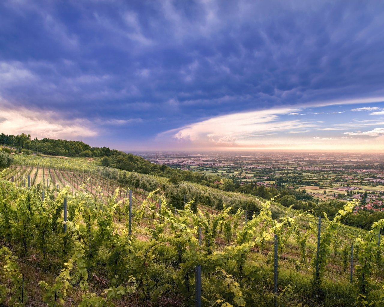 Обои небо, облака, холмы, природа, закат, долина, виноградник, the sky, clouds, hills, nature, sunset, valley, vineyard разрешение 2048x1367 Загрузить