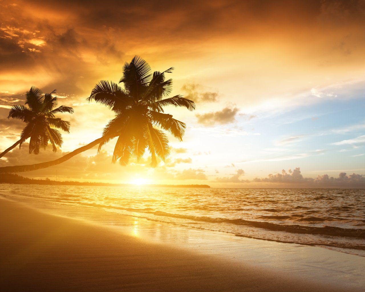 Обои облака, закат, море, пляж, пальмы, океан, солнечный свет, clouds, sunset, sea, beach, palm trees, the ocean, sunlight разрешение 5224x3604 Загрузить