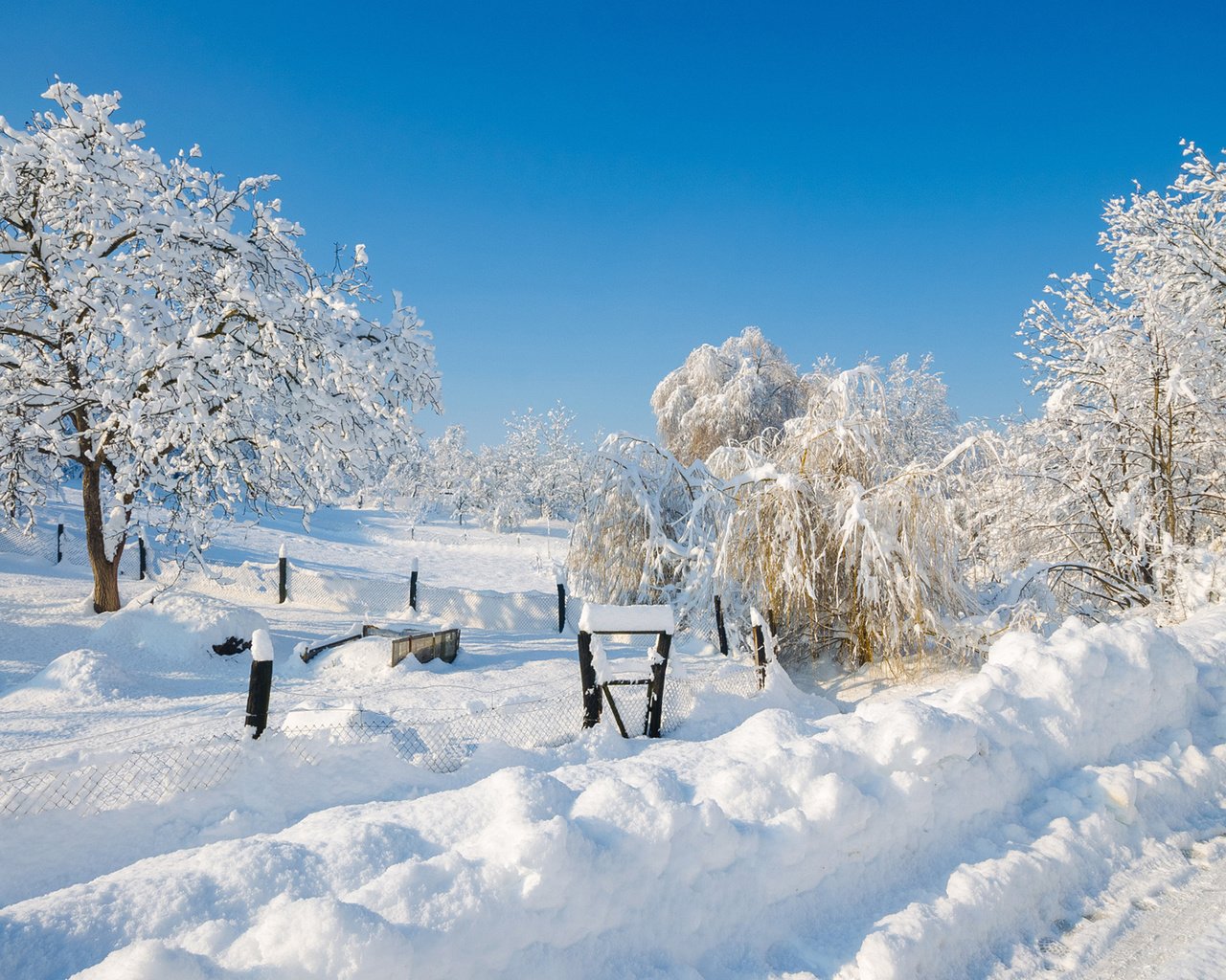 Обои небо, деревья, снег, природа, зима, сугробы, matej paluh, the sky, trees, snow, nature, winter, the snow разрешение 1920x1200 Загрузить