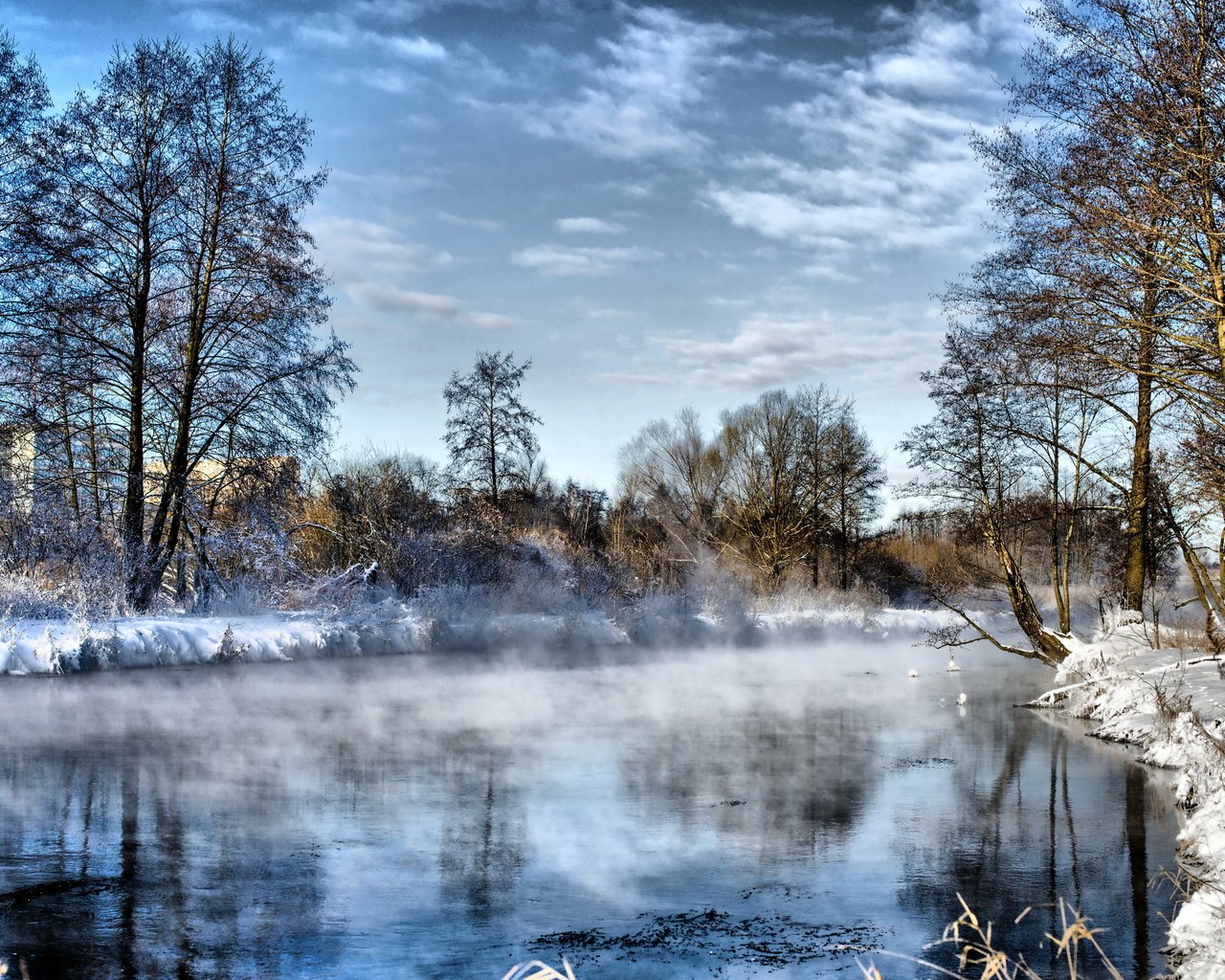 Обои небо, облака, деревья, река, снег, зима, туман, иней, the sky, clouds, trees, river, snow, winter, fog, frost разрешение 2560x1600 Загрузить