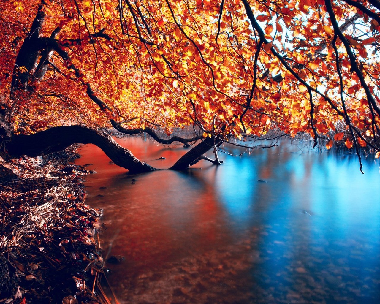 Обои деревья, вода, река, природа, отражение, ветки, осень, trees, water, river, nature, reflection, branches, autumn разрешение 1920x1280 Загрузить