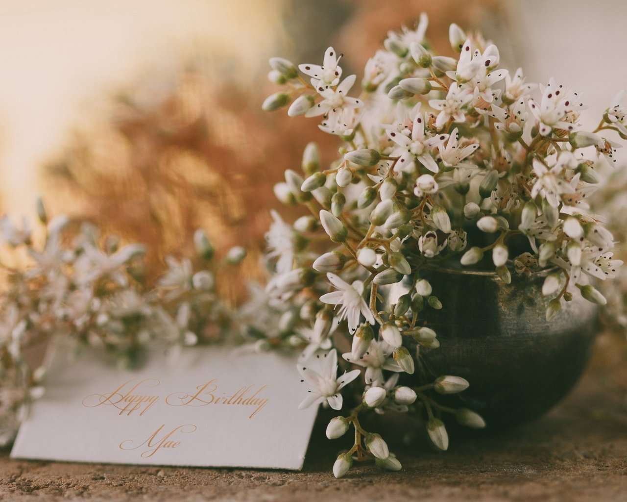 Обои цветы, открытка, поздравления, с днем ​​рождения, flowers, postcard, congratulations, happy birthday разрешение 2048x1229 Загрузить