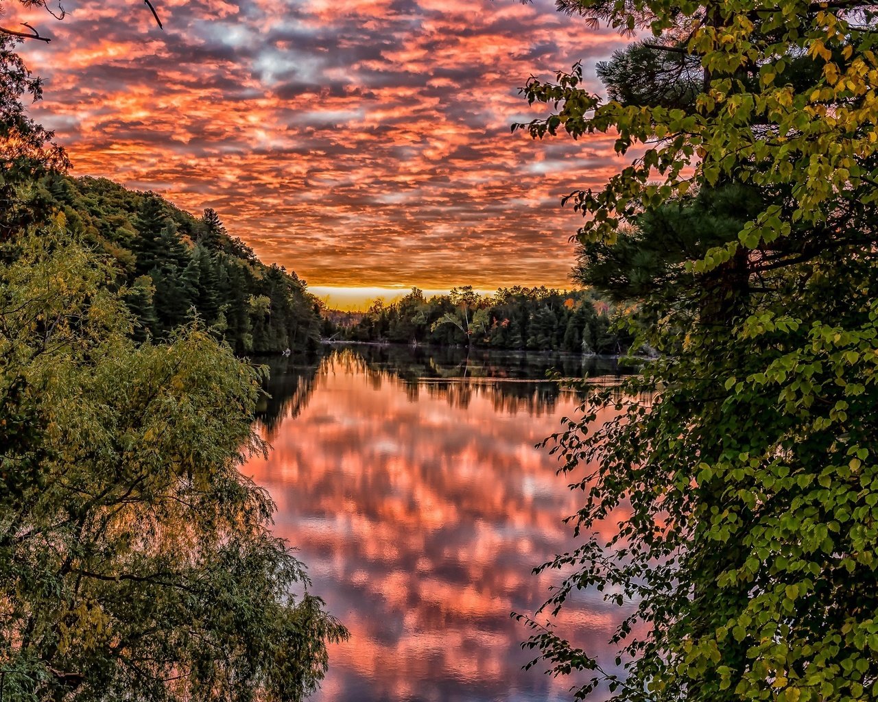 Обои небо, облака, деревья, озеро, природа, закат, отражение, ветки, the sky, clouds, trees, lake, nature, sunset, reflection, branches разрешение 3840x2160 Загрузить