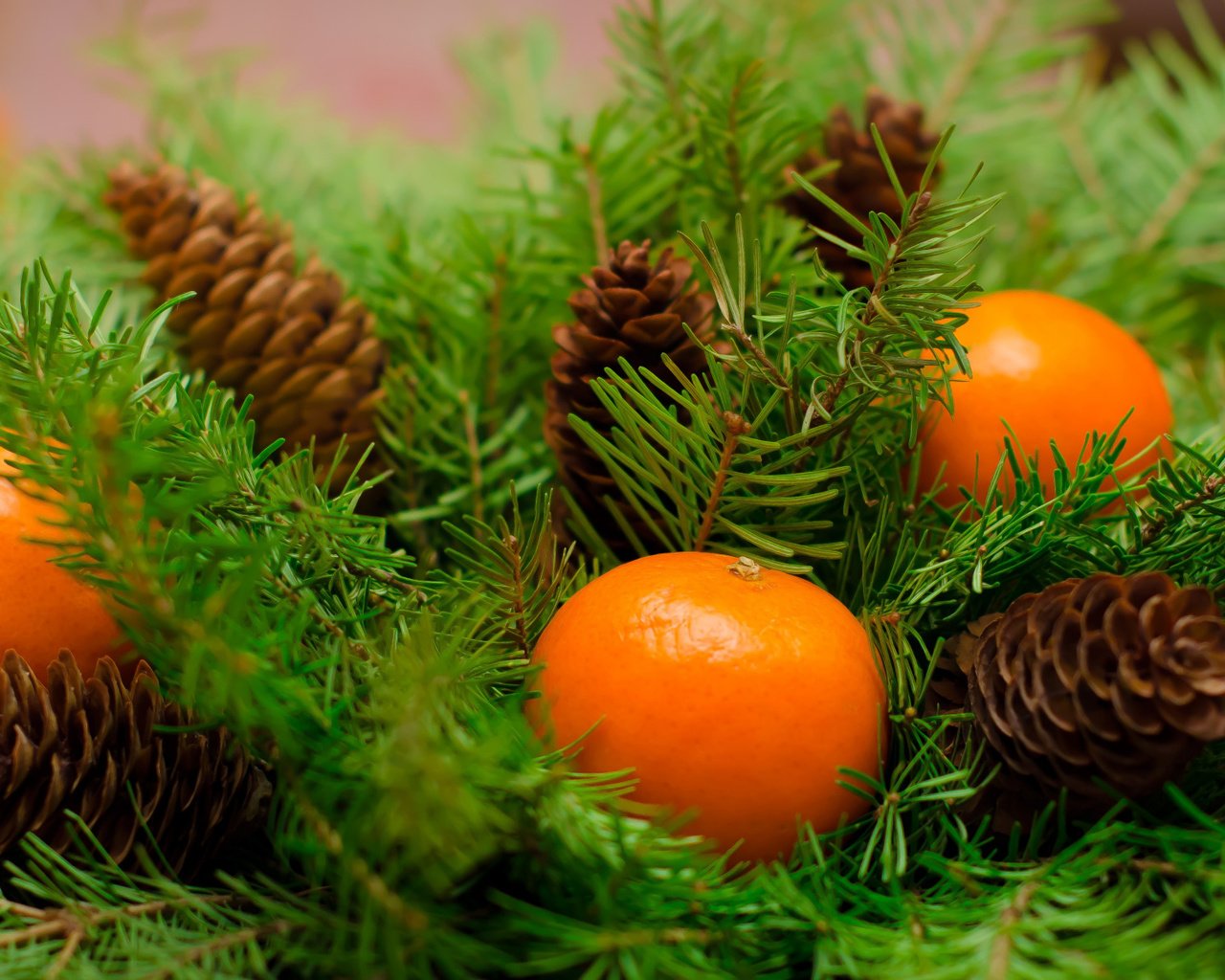 Обои новый год, ветки ели, украшения, mandarines, плоды, рождество, мандарины, дерева, мандаринка, merry, fir tree, new year, fir-tree branches, decoration, fruit, christmas, tangerines, wood, tangerine разрешение 2112x1188 Загрузить