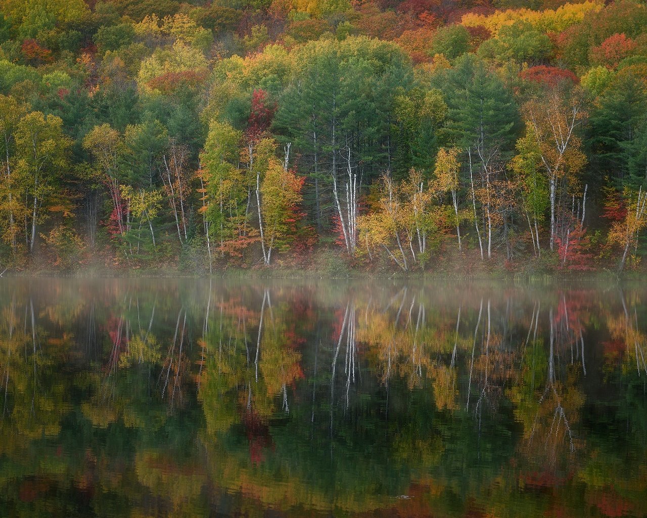 Обои озеро, лес, осень, lake, forest, autumn разрешение 2048x1268 Загрузить