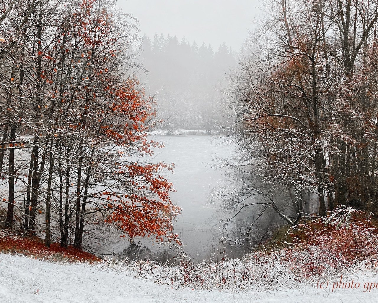 Обои деревья, снег, лес, зима, туман, пруд, trees, snow, forest, winter, fog, pond разрешение 2048x1365 Загрузить