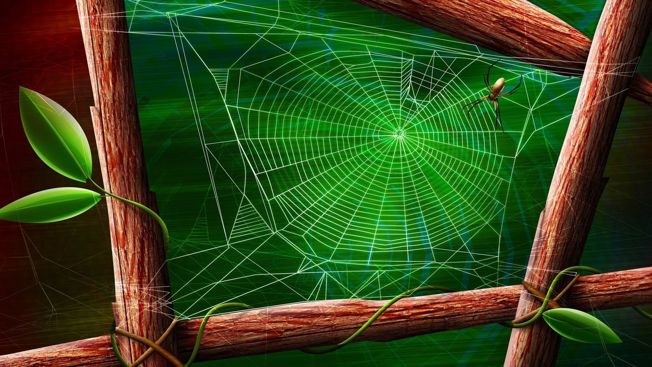 Обои зелёный, лист, паук, паутина, green, sheet, spider, web разрешение 1920x1200 Загрузить