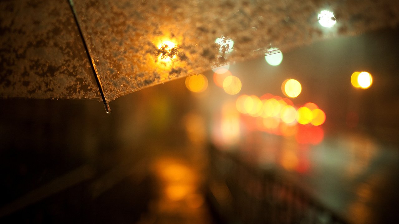 Обои улица, дождь, зонт, street, rain, umbrella разрешение 1920x1200 Загрузить