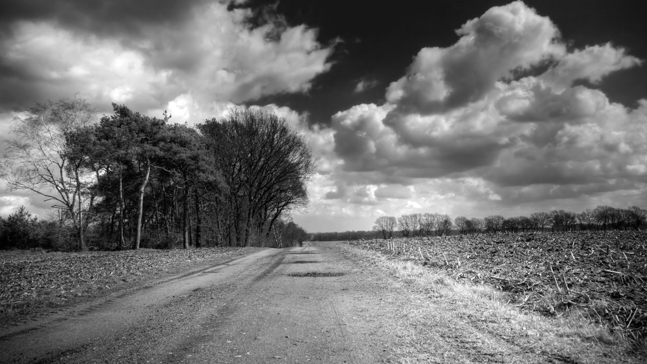 Обои дорога, облака, поле, черно-белая, road, clouds, field, black and white разрешение 2560x1600 Загрузить