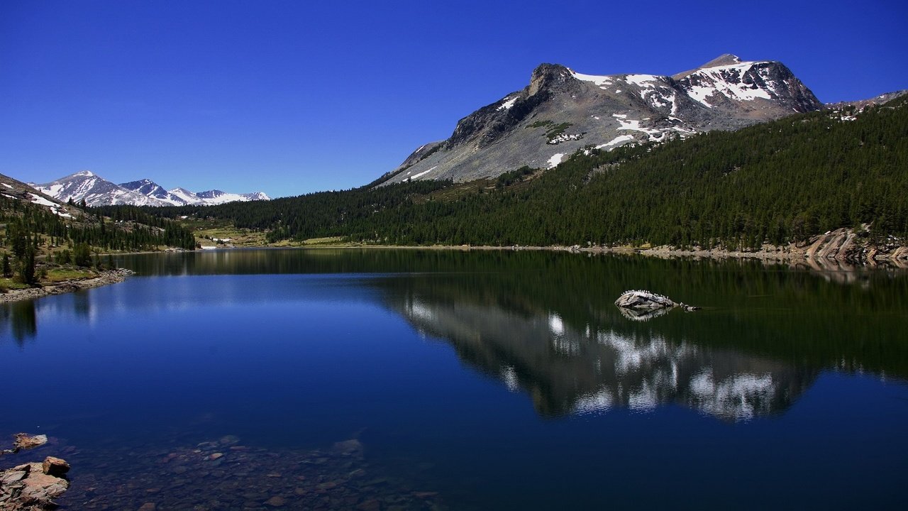 Обои деревья, озеро, горы, калифорния, йосемити, озеро тиога, tioga lake, trees, lake, mountains, ca, yosemite разрешение 1920x1200 Загрузить