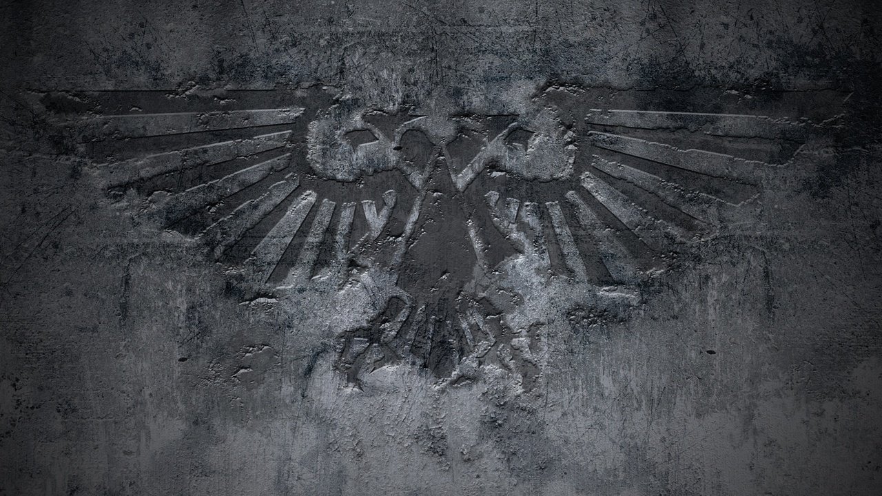 Обои орел, символика, eagle, symbols разрешение 1920x1200 Загрузить