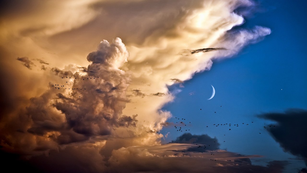 Обои небо, облака, птицы, месяц, the sky, clouds, birds, a month разрешение 1920x1200 Загрузить