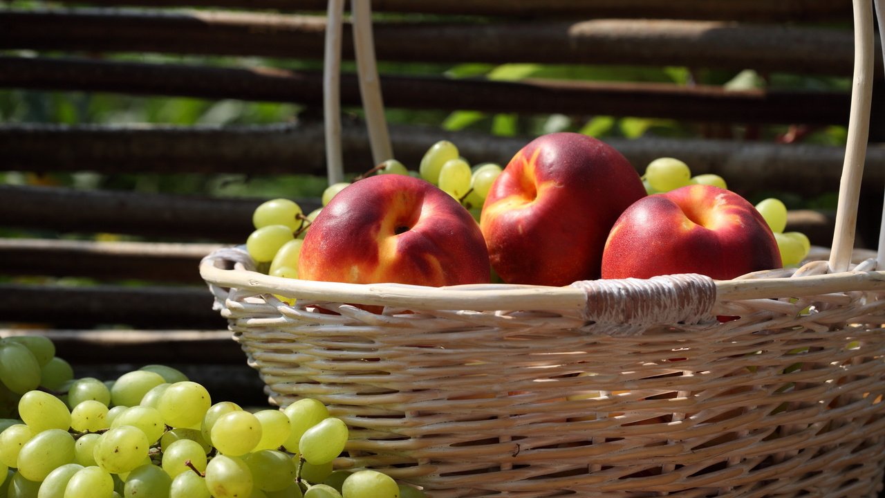 Обои виноград, фрукты, забор, корзина, нектарин, grapes, fruit, the fence, basket, nectarine разрешение 2560x1600 Загрузить